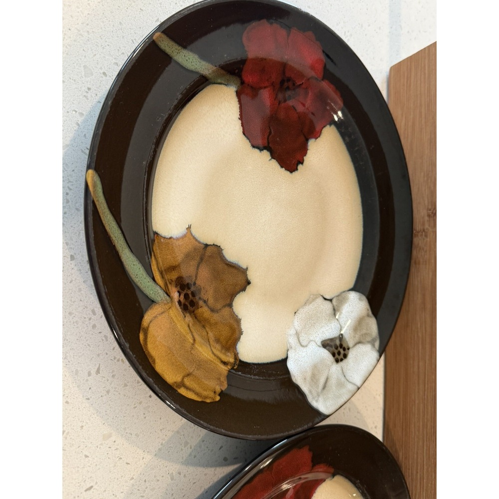 Pfaltzgraff Painted Poppies 11.25 inch Dinner plate Set Of‎ 2